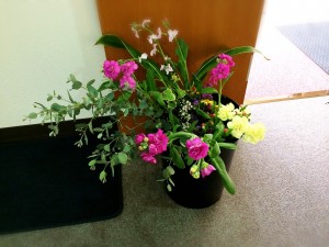 image-1